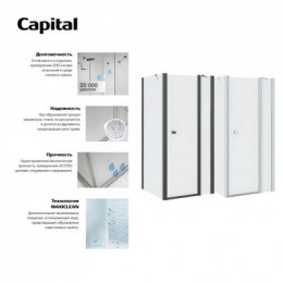 Душевое ограждение Roca Capital боковая панель 90x195, черный (M4409016M)