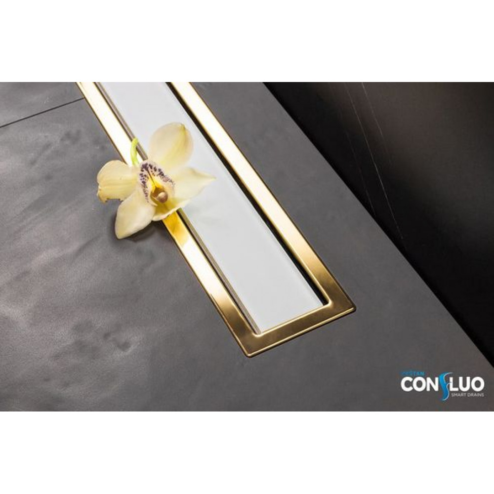 Душевой лоток Pestan Confluo Premium Line 550 White Glass Gold, 12*55 см, золото/белый (13100121)