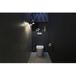 Унитаз приставной Jacob Delafon Rodin+ безободковый, белый (EDAA102-00)