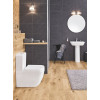 Чаша унитаза-компакт Grohe Euro Ceramic 39338000 без сиденья