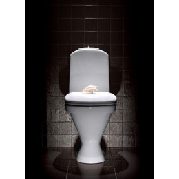 Унитаз-компакт Sanita Luxe Classic с сидением микролифт (WC.CC/Classic/2-TM/WHT.G/S1)