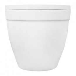 Унитаз подвесной Azario Fora 520х360х410 безободковый, с быстросъемным сиденьем микролифт (AZ-0017 E-R)