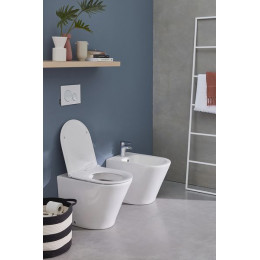 Унитаз приставной Jacob Delafon Rodin+ безободковый, белый (EDAA102-00)