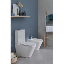 Чаша напольного унитаза Jacob Delafon Rodin+ безободковый, белый (UJAB102-00)