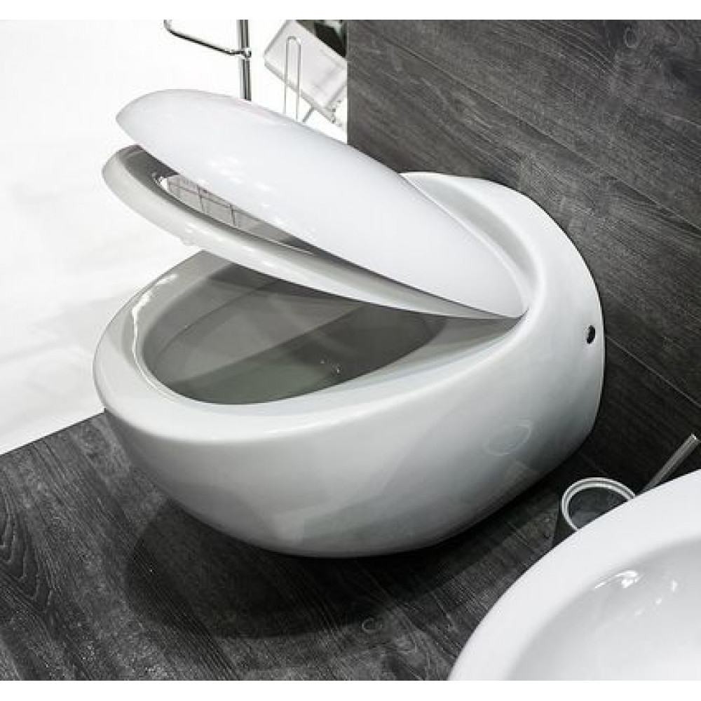 Унитаз подвесной Sanita Luxe Ringo с быстросъемным сидением микролифт (WC.WH/Ringo/DM/WHT.G/S1)