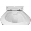 Унитаз подвесной Azario Geno 490х360х360 безободковый, с ультратонким сиденьем микроклифт (AZ2196D)