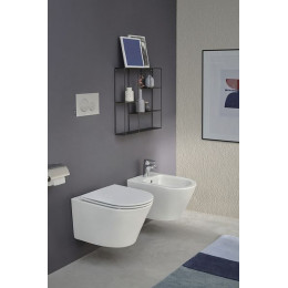 Унитаз подвесной Jacob Delafon Rodin+ безободковый, белый (EDY102-00)