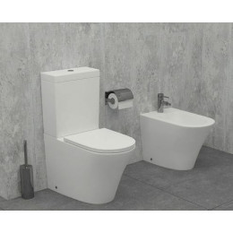 Чаша напольного унитаза Jacob Delafon Rodin+ безободковый, белый (UJAB102-00)