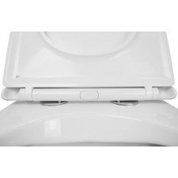 Унитаз подвесной Azario MONEO 530х365х370 безободковый, в комплекте с быстросъемным сидением микролифт (AZ-0062)