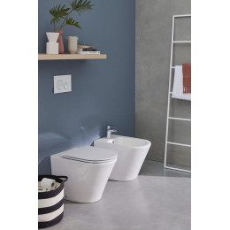 Унитаз приставной Jacob Delafon Rodin+ безободковый, белый (EDAA102-00)