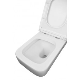 Унитаз подвесной Azario MONEO 530х365х370 безободковый, в комплекте с быстросъемным сидением микролифт (AZ-0062)