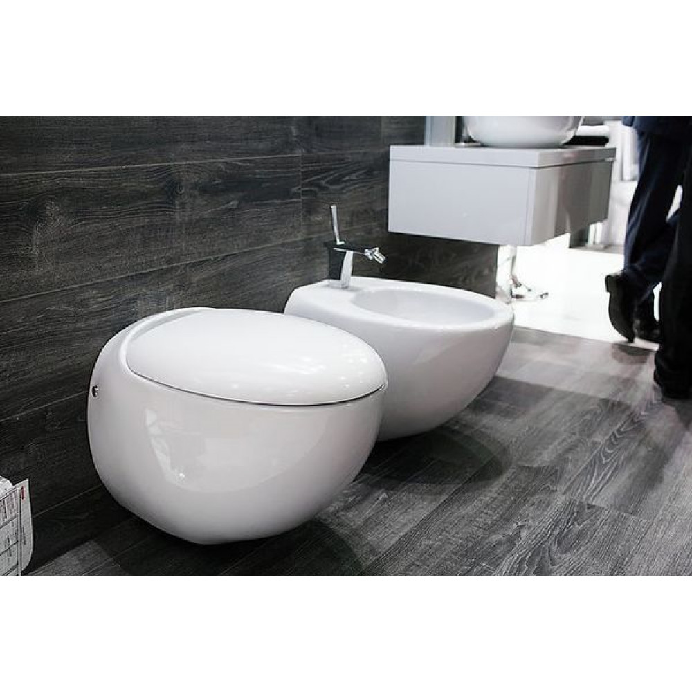 Унитаз подвесной Sanita Luxe Ringo с быстросъемным сидением микролифт (WC.WH/Ringo/DM/WHT.G/S1)