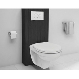 Унитаз подвесной Ideal Standard Eurovit безободковый, с сиденьем микролифт (K881201)