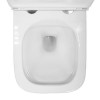 Унитаз подвесной Azario PRO 490х345х355 безободковый, в комплекте с быстросъемным сидением микролифт (PRO-002)