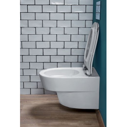 Унитаз подвесной Jacob Delafon Odeon Rive Gauche без сиденья, белый (EDR102-00)