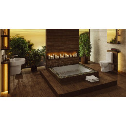 Унитаз-компакт Sanita Luxe Best с сиденьем микролифт (WC.CC/Best/2-DM/WHT.G/S1)