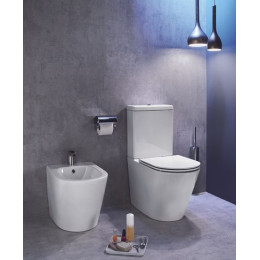 Чаша напольного унитаза Jacob Delafon Rodin+ безободковый, белый (UJAB102-00)