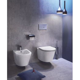 Унитаз подвесной Jacob Delafon Rodin+ безободковый, белый (EDY102-00)