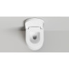 Унитазы и биде S-Stone GEMELLI с крышкой и сиденьем Матовый 240121KSM Salini