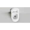Унитазы и биде S-Stone GEMELLI с крышкой и сиденьем Матовый 240121KSM Salini