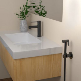 Смеситель для раковины с гигиеническим душем Timo Saona черный (2360/03G)