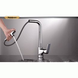 Смеситель для кухни с выдвижной лейкой Berlin.Freie DK (DA1432501)