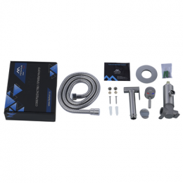 Смеситель встраиваемый FASHUN в комплекте с гигиенической лейкой, сатин (A57803)