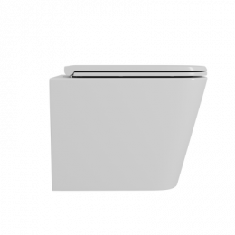 Унитаз D&K подвесной  безободковый (торнадо), сиденье микролифт Berlin (DT1436516)