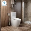 Унитаз VINCE Tornado напольный безободковый Ceruttispa CT10373 (630х350х795) Ceruttispa