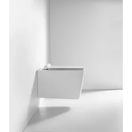 Унитаз VIOLA Aria Tornado подвесной безободковый белый со смывом торнадо Ceruttispa CT10583 (525х365х320)