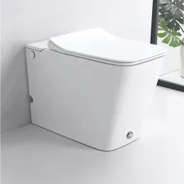 Унитаз DISGRAZIA Pulsе приставной с функцией импульсного смыва Ceruttispa CT7269 (600x360x410)