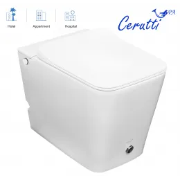 Унитаз DISGRAZIA Pulsе приставной с функцией импульсного смыва Ceruttispa CT7269 (600x360x410)