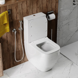 Унитаз CHIKA напольный безободковый высокий Ceruttispa CT8708 (620х385х920)