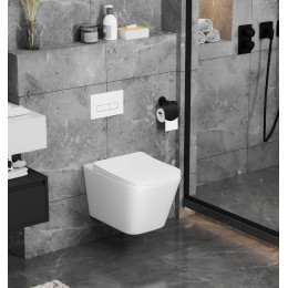 Унитаз подвесной Ceruttispa МАЙЕЛЛА (MAIELLA) Aria MW CT9164 (500х350х320) безободковый, белый матовый, ТЕРМООБЖИГ (не плёнка)