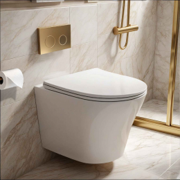 Унитаз ADIGE Aria подвесной безободковый Ceruttispa CT7837 (490x360x355)