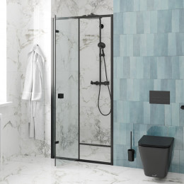 Дверь BELLA D101B душевая в нишу Ceruttispa (100х195)