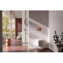 TECE 9240830 TECEsquare II Металлическая панель смыва унитаза II для системы с двойным смывом, цвет нержавеющая сталь, сатин (с покрытием против отпечат