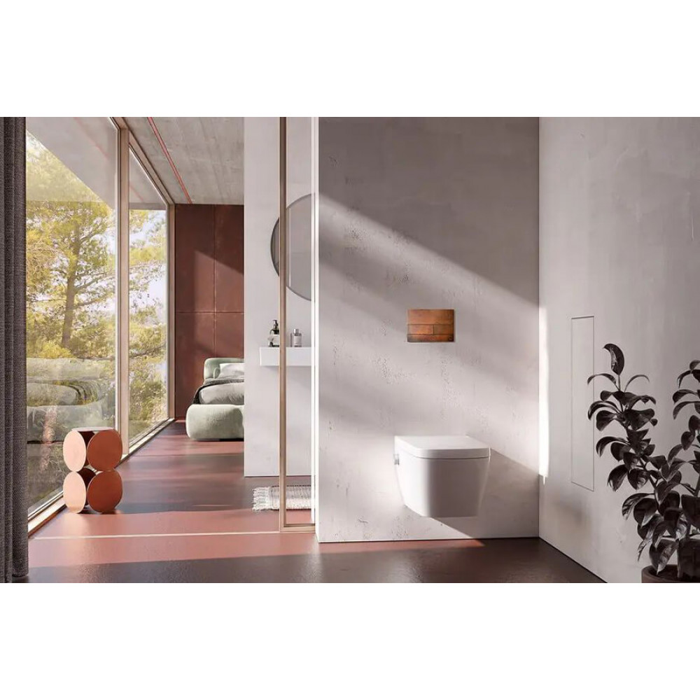 TECE TECEsquare панель смыва с двумя клавишами стеклянная клавиши хром глянцевый 9240802