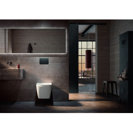 TECE TECEsolid Стальная панель смыва для унитаза с текстурированной поверхностью для системы двойного смыва графит с текстурой линии 9240438