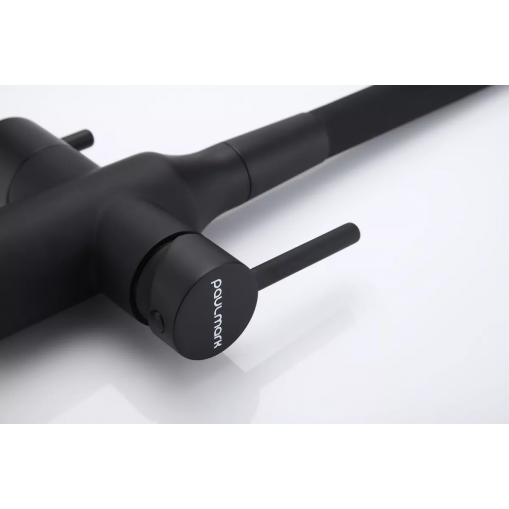 Смеситель Paulmark Salix с гибким изливом