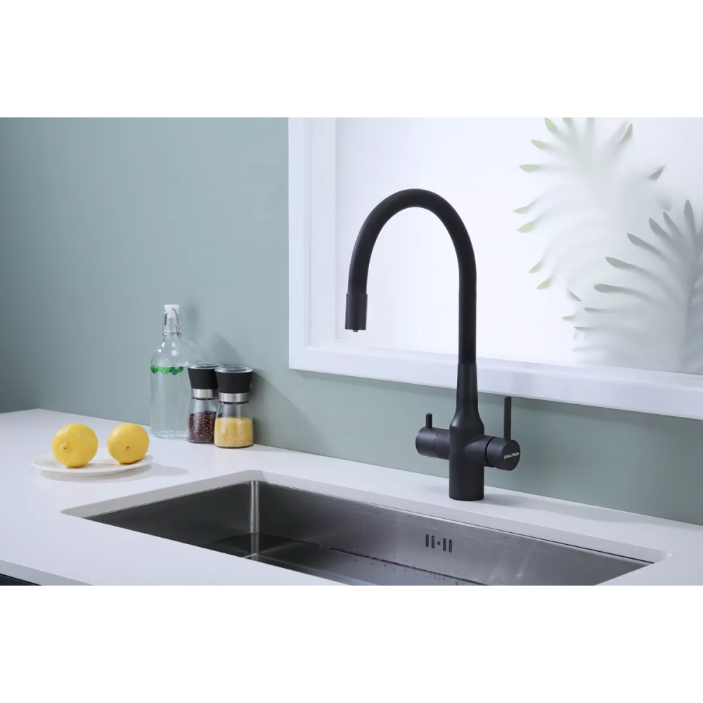 Смеситель Paulmark Salix с гибким изливом