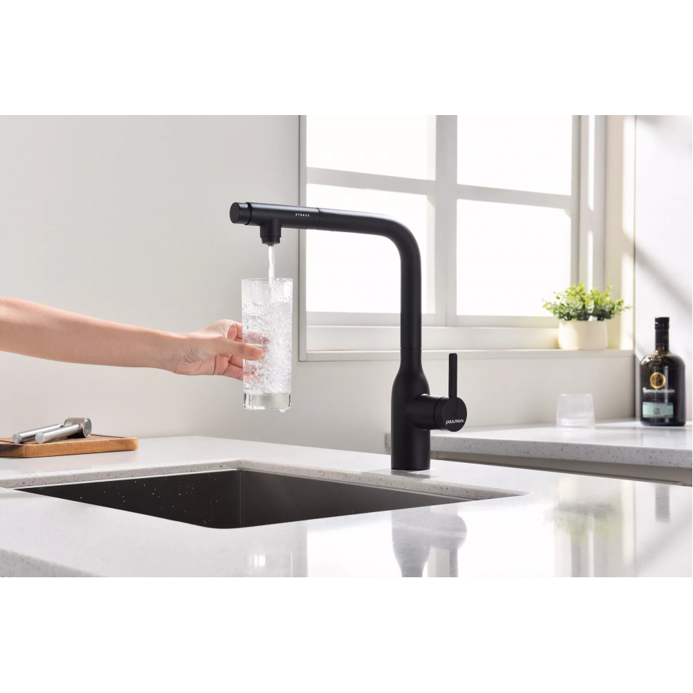 Смеситель под фильтр для воды с выдвижным изливом Paulmark Viper