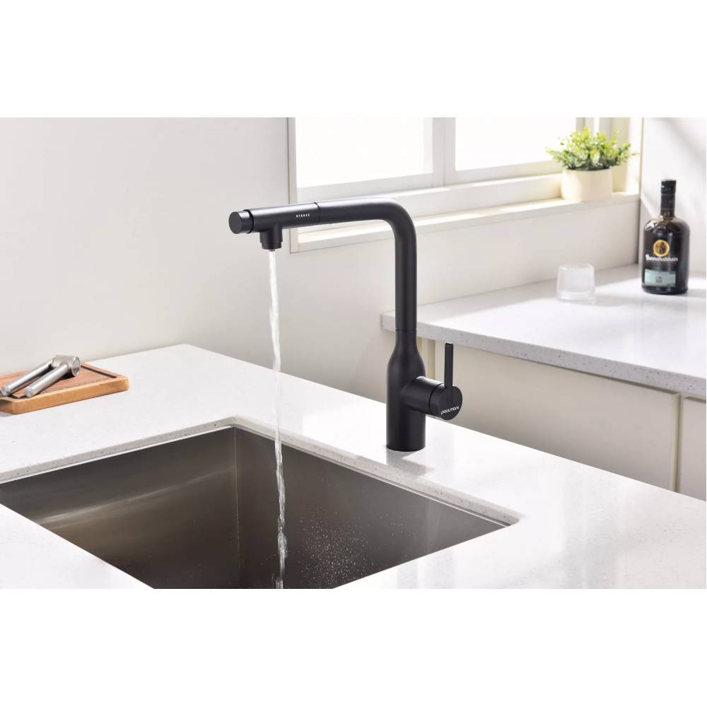 Смеситель под фильтр для воды с выдвижным изливом Paulmark Viper