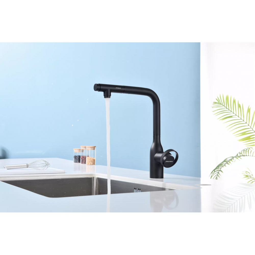 Смеситель с выдвижным изливом Paulmark Urban