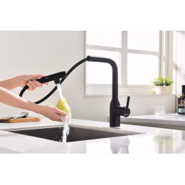 Смеситель под фильтр для воды с выдвижным изливом Paulmark Viper