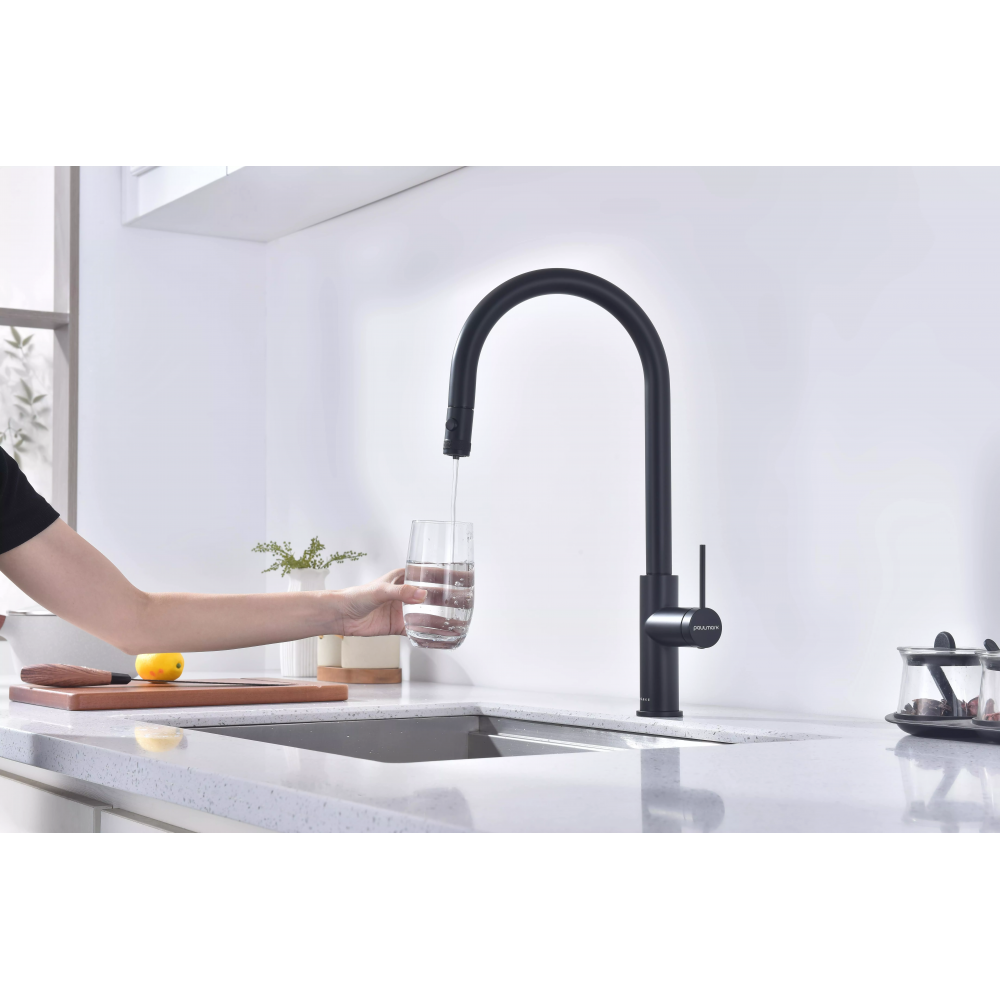 Смеситель Paulmark Galant под фильтр для воды однорычажный