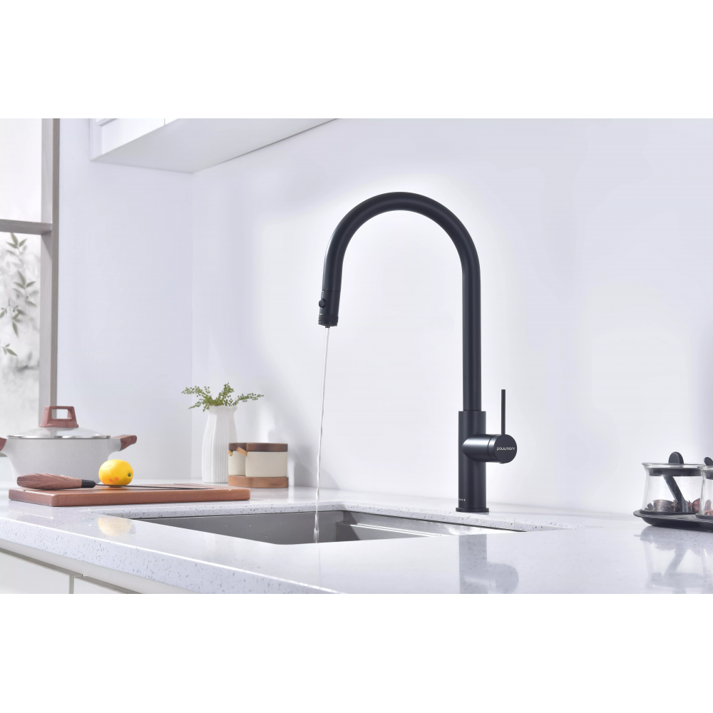 Смеситель Paulmark Galant под фильтр для воды однорычажный