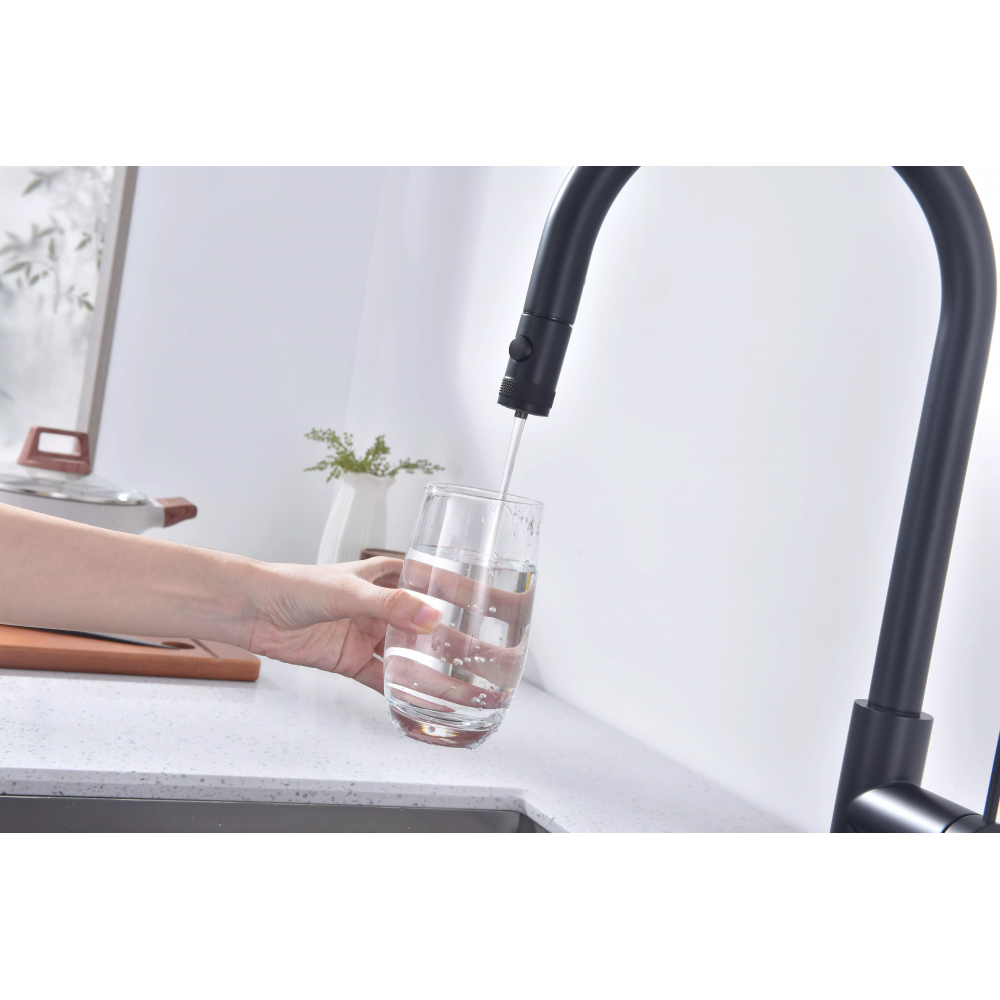 Смеситель Paulmark Galant под фильтр для воды однорычажный