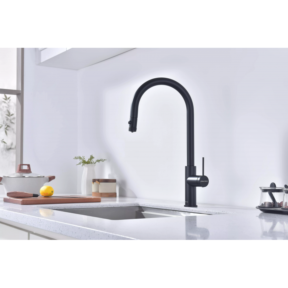 Смеситель Paulmark Galant под фильтр для воды однорычажный