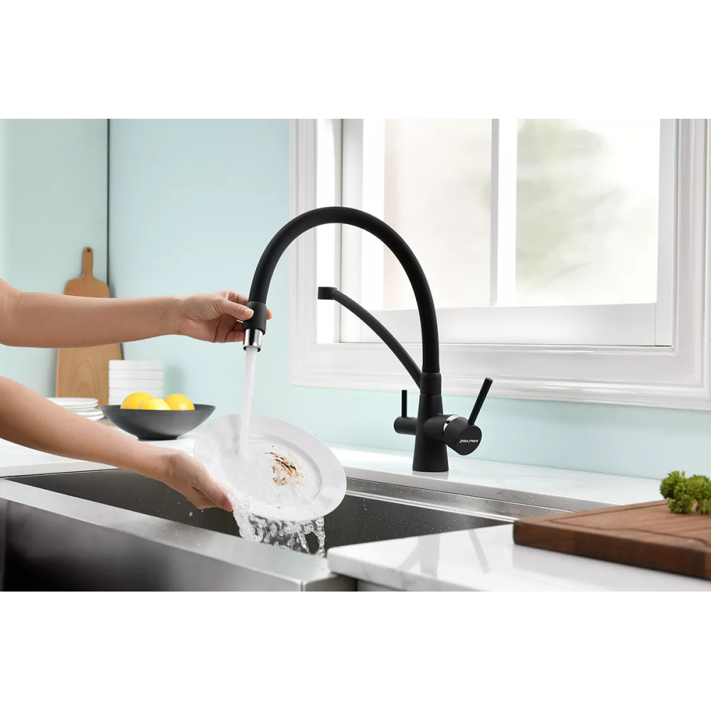 Смеситель Paulmark Siegen однорычажный с гибким шлангом